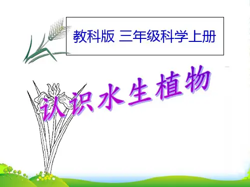 三级科学上册-水生植物课件-教科版
