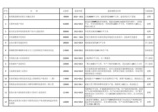谋划项目表