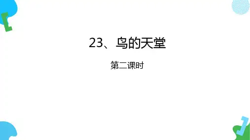 统编版五年级语文上册23《鸟的天堂》第二课时课件(共14张PPT)