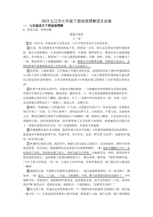 2023九江市七年级下册阅读理解语文试卷