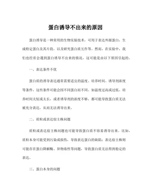 蛋白诱导不出来的原因