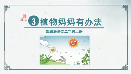 《植物妈妈有办法》ppt课件