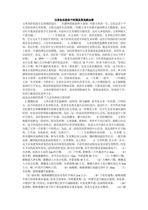 玉米的生长过程
