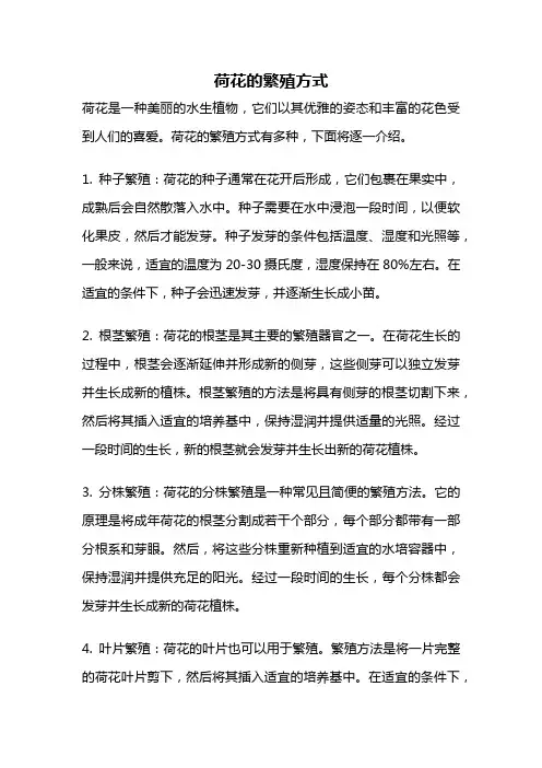 荷花的繁殖方式