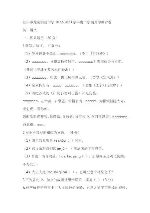 广东省汕头市龙湖实验中学2022-2023学年九年级下学期开学考试语文试题(含答案)
