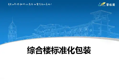 碧桂园综合楼标准化包装