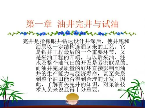 第一章油井完井与试油