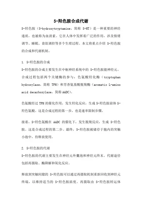 5-羟色胺合成代谢
