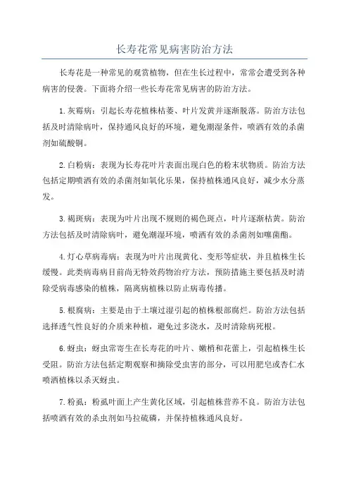 长寿花常见病害防治方法