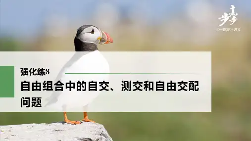 22版：强化练8 自由组合中的自交、测交和自由交配问题（步步高）