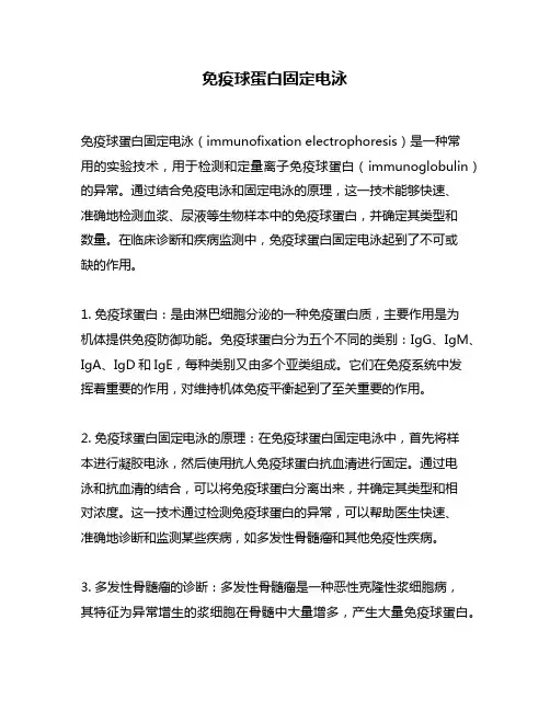 免疫球蛋白固定电泳