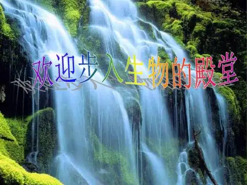 苏教版小学六年级上册《植物体的组成》课件