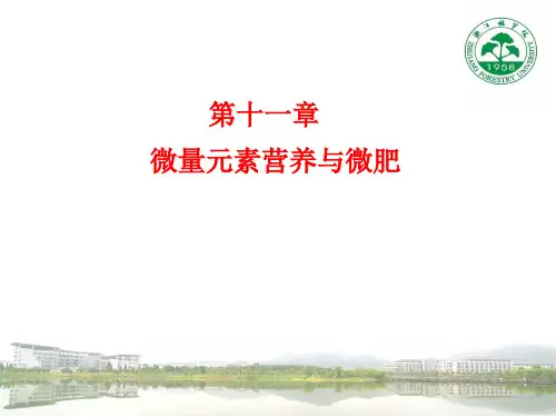 土壤微量元素(土壤肥料科学通论-沈其荣)要点