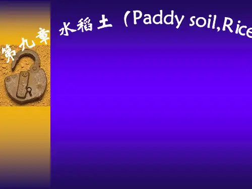 第九章 水稻土(Paddy soil,Rice soil)