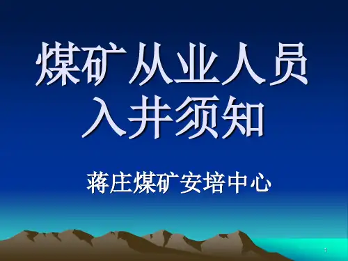 煤矿从业人员入井须知ppt课件