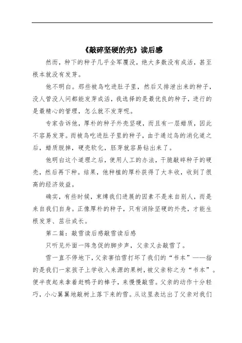 《敲碎坚硬的壳》读后感