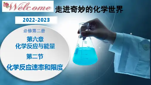化学反应速率(课件)高一化学同步精品课堂人教版(2019)必修第二册