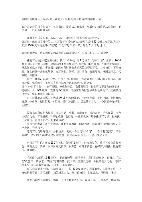 鹿茸的相关术语[终稿]