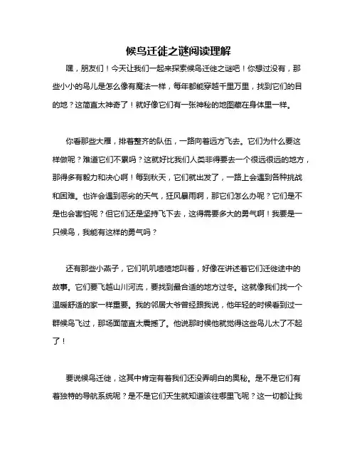 候鸟迁徙之谜阅读理解