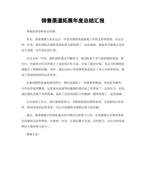 销售渠道拓展年度总结汇报