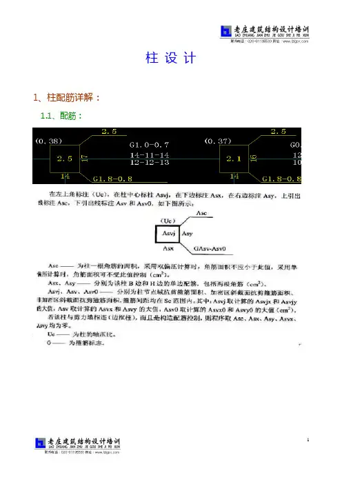 柱配筋