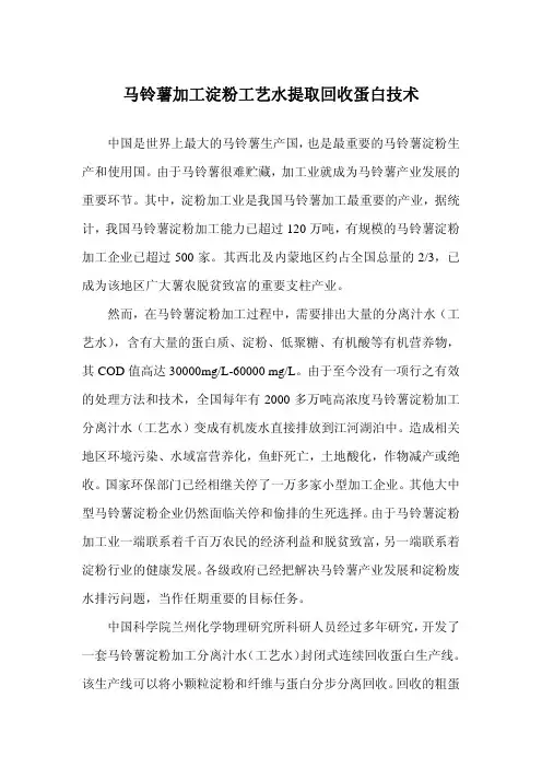马铃薯加工淀粉工艺水提取回收蛋白技术