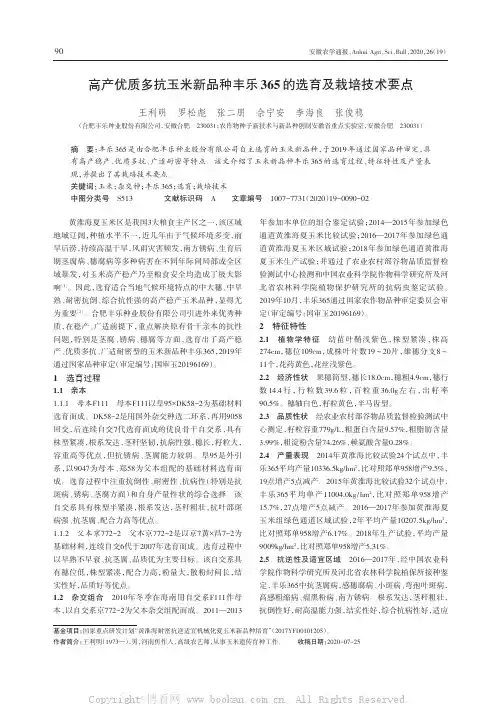 高产优质多抗玉米新品种丰乐365的选育及栽培技术要点