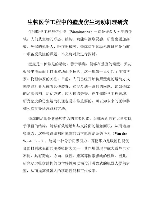 生物医学工程中的壁虎仿生运动机理研究