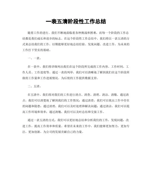 一表五清阶段性工作总结