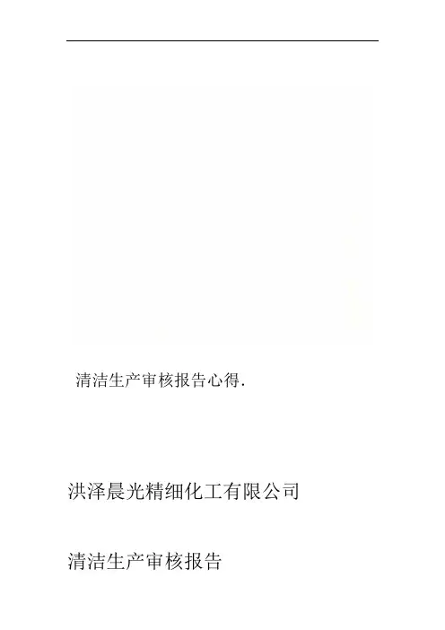 清洁生产审核报告心得
