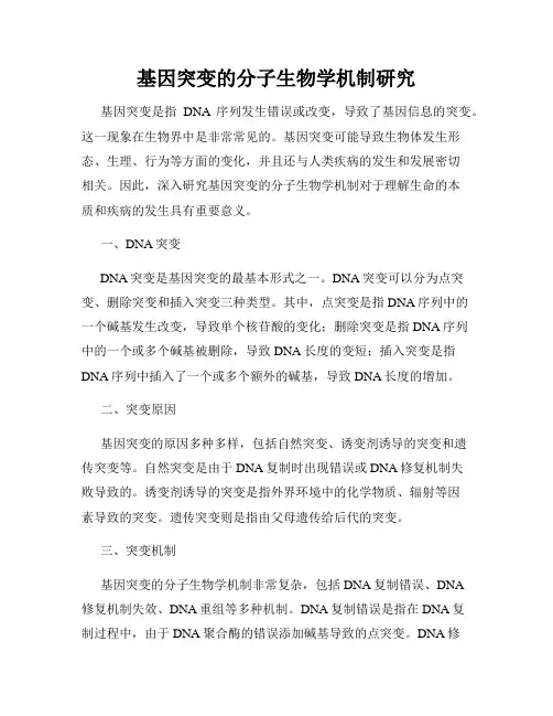 基因突变的分子生物学机制研究