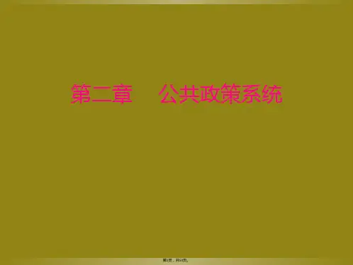 第二章     公共政策系统