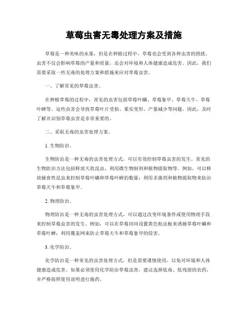 草莓虫害无毒处理方案及措施