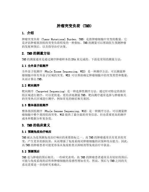 肿瘤突变负荷tmb的描述