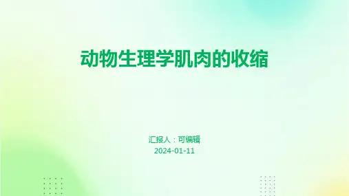 动物生理学肌肉的收缩ppt课件