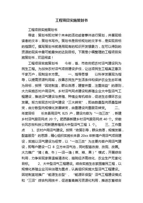 工程项目实施策划书