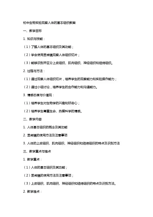 初中生物实验观察人体的基本组织教案