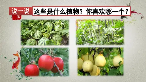 部编人教版三年级下册语文《习作：我的植物朋友》课件