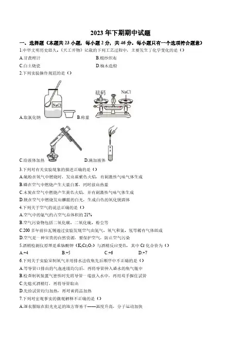 湖南省衡阳市成章实验中学2023-2024学年九年级上学期期中化学试题(含解析)