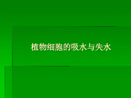 植物细胞的吸水和失水