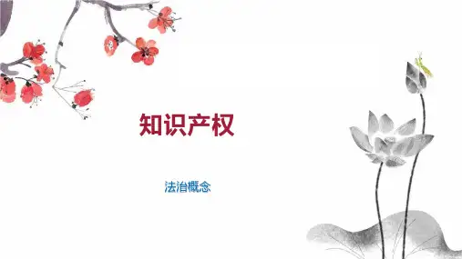 知识产权  