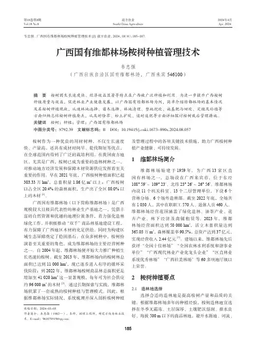 广西国有维都林场桉树种植管理技术