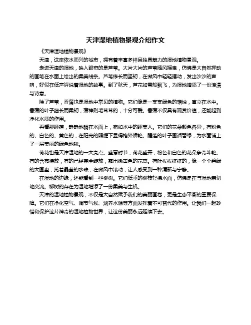天津湿地植物景观介绍作文