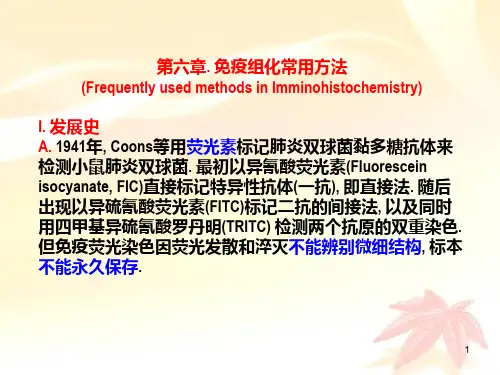 06 免疫组化常用方法