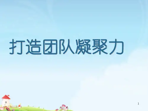打造团队凝聚力(PPT 58页)