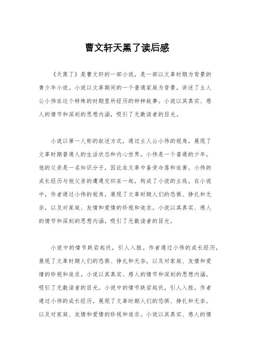 曹文轩天黑了读后感