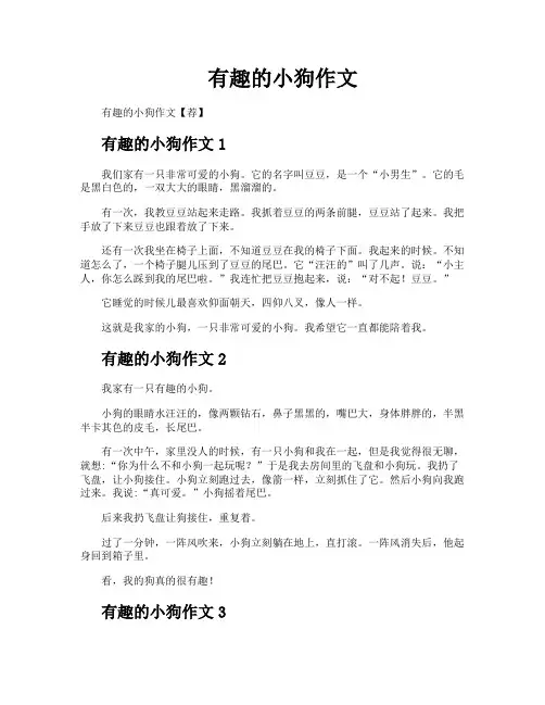 有趣的小狗作文