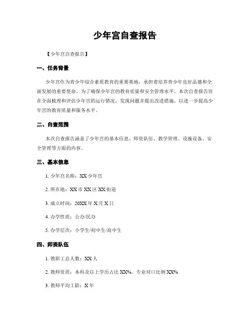少年宫自查报告