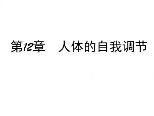 北师大初中生物七下《12第1节 神经系统与神经调节》PPT课件 (10)