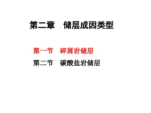 2.储层成因类型